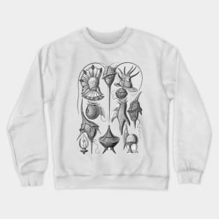 Ernst Haeckel Peridinea Algae Black & White Crewneck Sweatshirt
